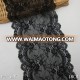 Lingerie lace trim 18.5cm black scollop elastic lace